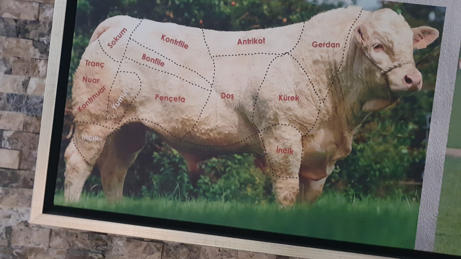 Cattle 2